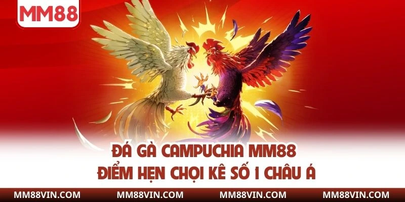 Đá gà campuchia